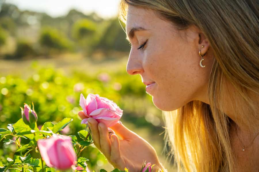 Adelaide Hills: Jurlique Farm Tour - Practical Details for a Comfortable Visit