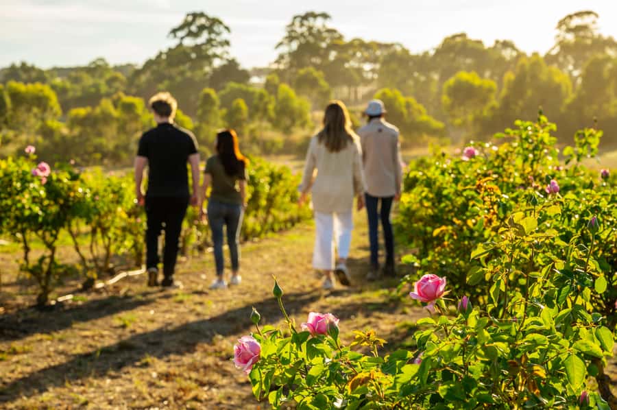 Adelaide Hills: Jurlique Farm Tour - Starting With Jurlique’s Story