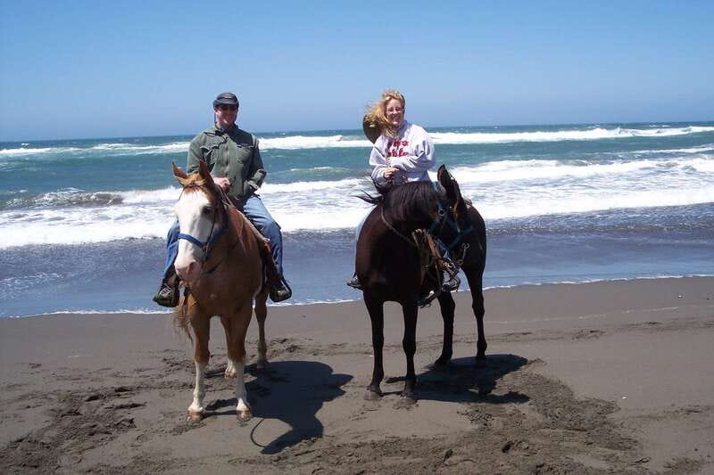 <em>Afro-Mex Village Horse Ride, Turtle Release Crocodile Farm – Key points at a glance’ /></p>
<ul>
<li><strong>Baby turtles go from basket to surf:</strong> At Vallarino Turtle Camp, you receive an explanation of the project before helping release the hatchlings into the ocean.</li>
<li><strong>Horse riding is designed for beginners:</strong> You start with basic riding instruction and time to get acquainted with your horse before setting off.</li>
<li><strong>The crocodile farm adds a rare local stop:</strong> The newly opened farm is more unusual than a standard beach excursion and was a favorite part for one guest.</li>
<li><strong>The ride includes Pacific views:</strong> The route offers chances to pause for photos and enjoy the sea air.</li>
<li><strong>Pickup is included across central Acapulco:</strong> Hotel, condominium, Airbnb, and cruise-terminal pickup and return are part of the package.</li>
<li><strong>The Afro-Mexican village angle needs checking:</strong> The experience is presented as a way to learn about Afro-Mexican life, but the exact village stop is not clearly set out in the running itinerary.</li>
</ul>
<h2>Why this Acapulco outing feels different</h2>
<p><img width="800" height="600" decoding="async" src=