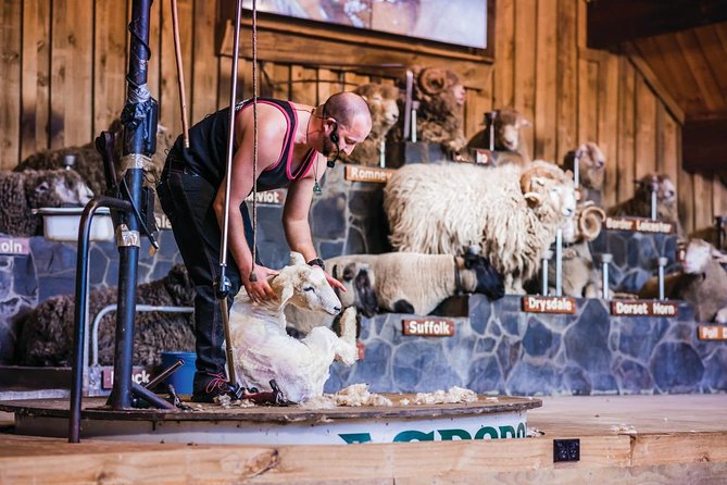 Agrodome Farm Experience including Farm Show and Farm Tour - Rotorua - Why the Agrodome Works for Families and Curious Adults