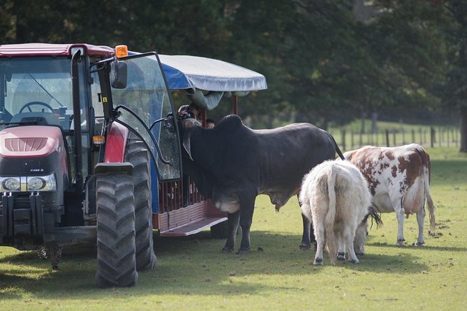 Agrodome Farm Experience including Farm Show and Farm Tour - Rotorua - The Farm Tour by All-Weather Tractor Trailer