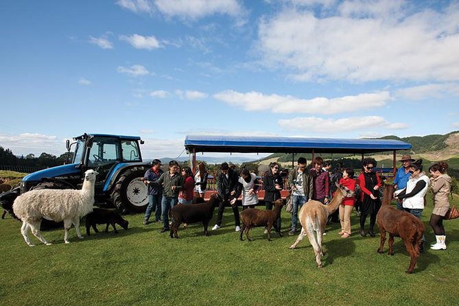 Agrodome Farm Experience including Farm Show and Farm Tour - Rotorua - How the $40.34 Price Measures Up