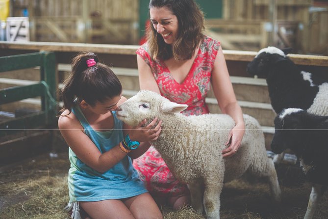 Agrodome Farm Experience including Farm Show and Farm Tour - Rotorua - Who Will Enjoy It Most?