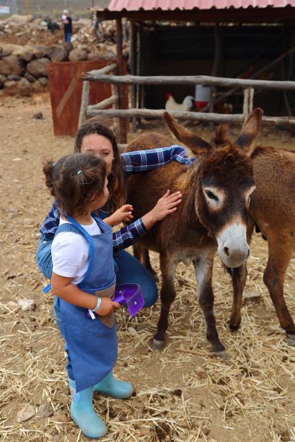 Agüimes : Be a farmer for the day at La Jaira de Ana - Learning how milking works