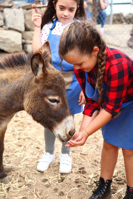 Agüimes : Be a farmer for the day at La Jaira de Ana - Corrals, orchard and greenhouse