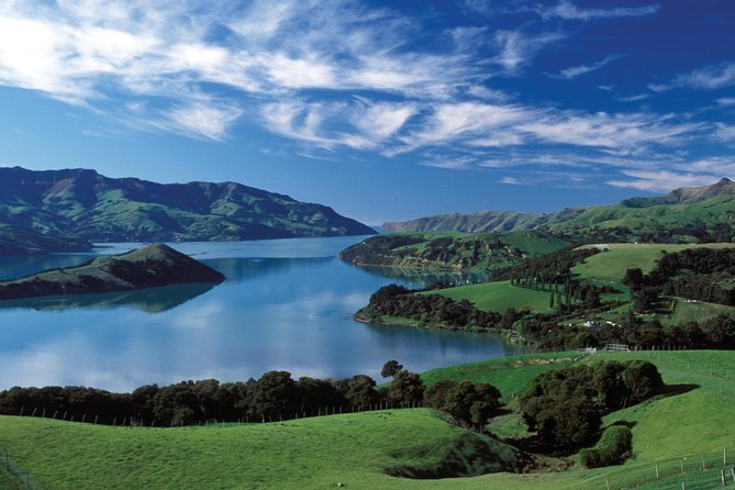 Akaroa Shore Excursion: Akaroa Harbour and Sheep Farm Local Tour - Why this Akaroa tour works well on a short port call