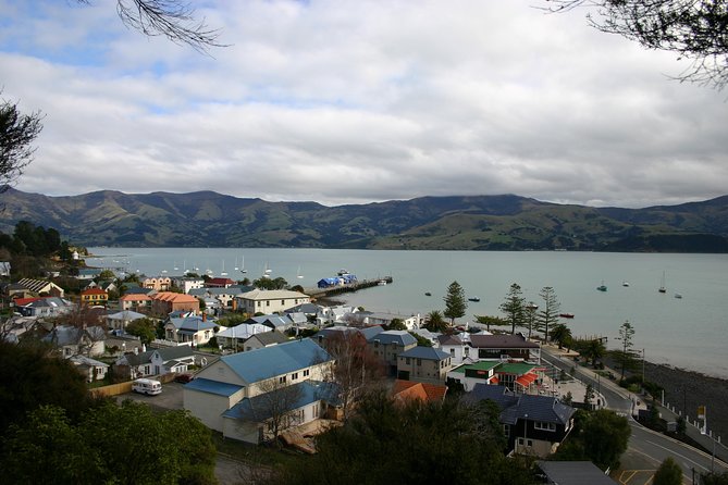 Akaroa Shore Excursion: Akaroa Harbour and Sheep Farm Local Tour - Timing, meeting details, and cruise-day planning