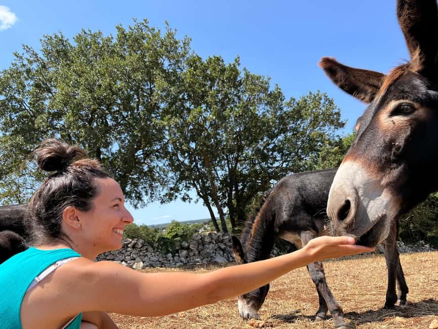Alberobello: Guided e-bike tour + donkey farm visit - Guide style and group size