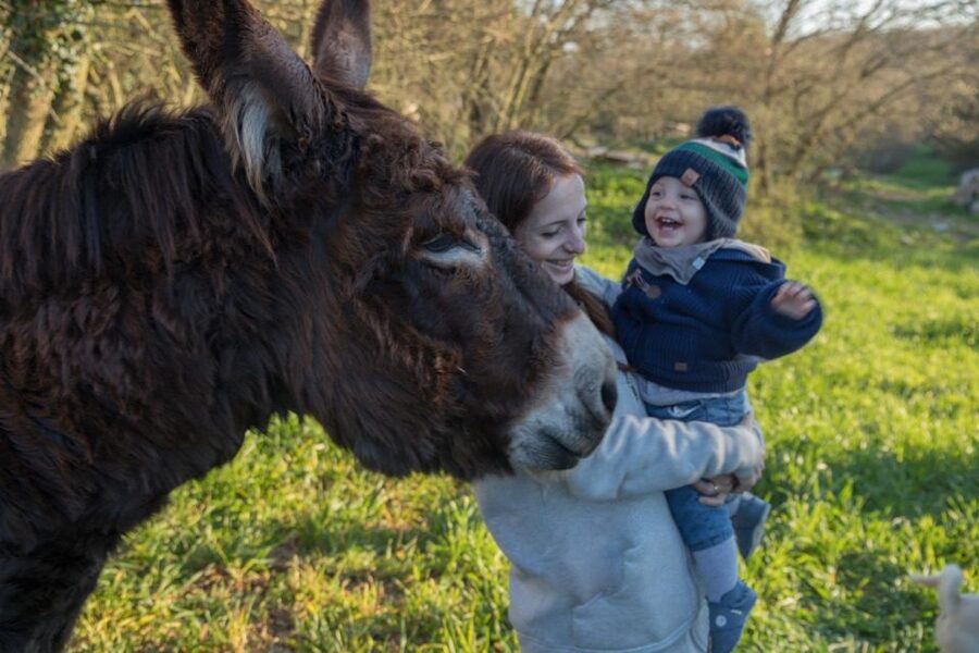 Alberobello: Guided e-bike tour + mill & donkey farm - What the price really means