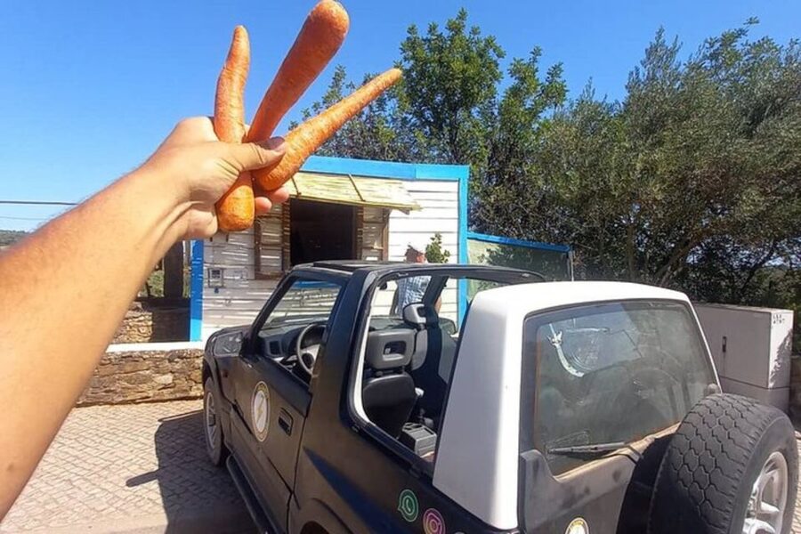 Albufeira Safari exploring villages, churches, castle & farm - Alte and the chance to swim