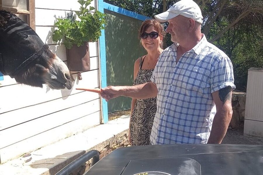 Albufeira Safari exploring villages, churches, castle & farm - The ride inland from Albufeira