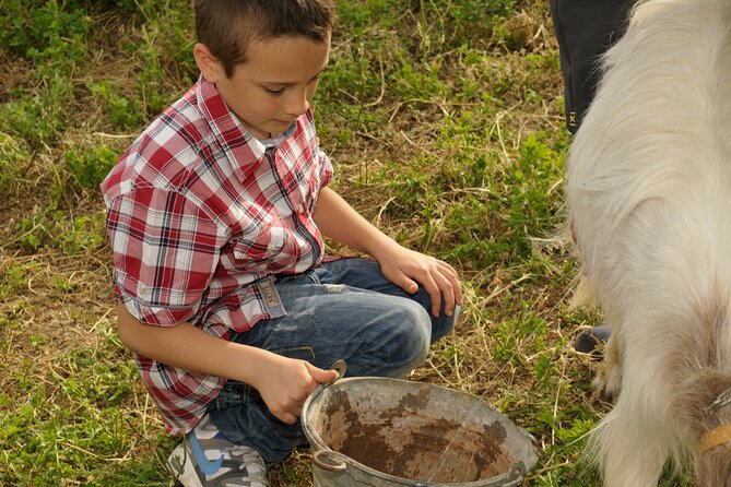 Alcamo Farm Animals and Aromatic Garden - Meeting the horses, donkeys, goats, and birds