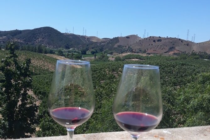 Algarve wine tour and farmer's lunch at wine estate - Quinta do Francês: starting with the wine basics