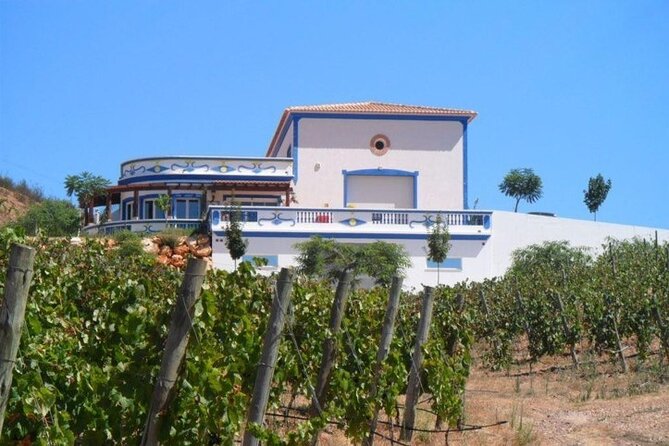 Algarve wine tour and farmer's lunch at wine estate - Pickup, timing, and group size