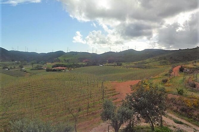Algarve wine tour and farmer's lunch at wine estate - Quinta do Morgado da Torre: ending with comparison