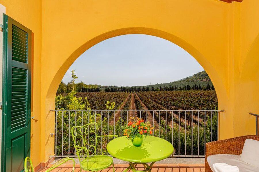 Alghero: Wine and Olive Oil Tasting at a Local Farm - Arriving at a small Sardinian wine farm