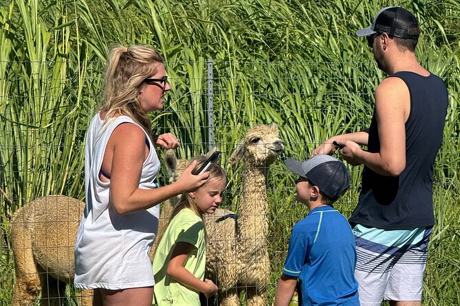 Alpaca Farm Experience on the Road to Hana - Photos, facts, and a guide who shapes the visit