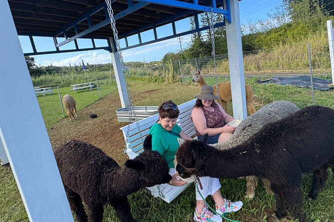 Alpaca Farm Experience on the Road to Hana - Farm snacks before the winding drive