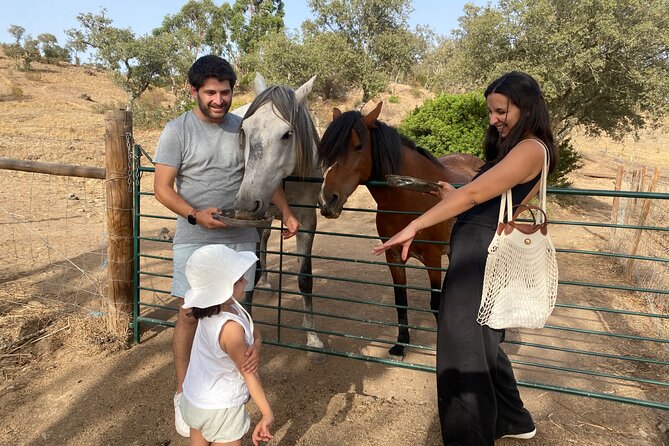 Alpaca Farm MamaAdama Meet & Feed - Meeting the alpacas and learning their personalities