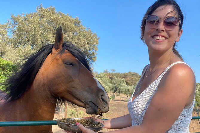 Alpaca Farm MamaAdama Meet & Feed - Why the small group matters