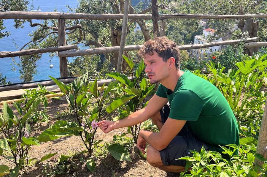 Amalfi Coast: Pizza & Mozzarella Class with Farmhouse visit - The people make the class