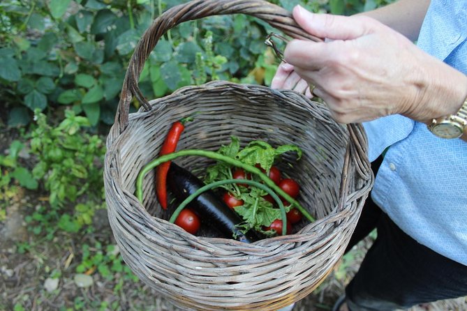 Amalfi Coast & Sorrento Cooking Class School at Farmhouse - Learning pasta, sauces, and local main courses