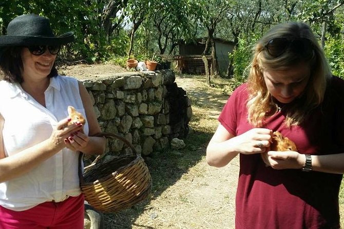 Amalfi Coast & Sorrento Cooking Class School at Farmhouse - Practical details that affect your day