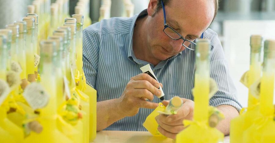 Amalfi: Vertical Lemon Farm Tour, Tastings, and Rural Museum - Walking through the vertical lemon grove