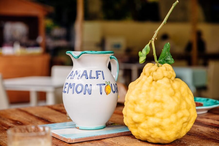 Amalfi: Vertical Lemon Farm Tour, Tastings, and Rural Museum - How long the 90-minute visit feels