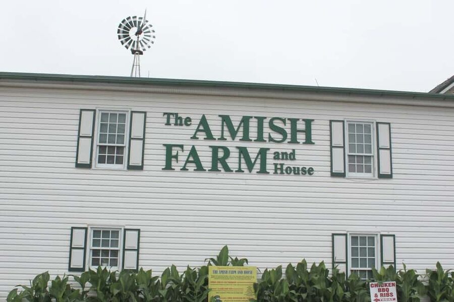 Amish Farm and Village Experience from Washington D.C. - Why this Amish day trip works from Washington DC