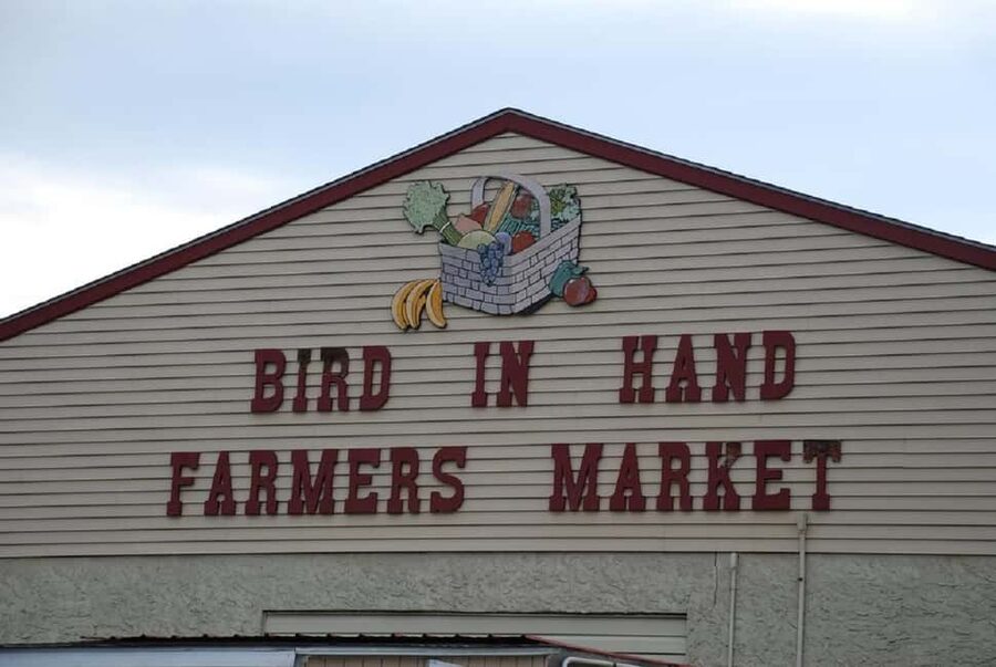 Amish Farm and Village Experience from Washington D.C. - Who will enjoy this day most