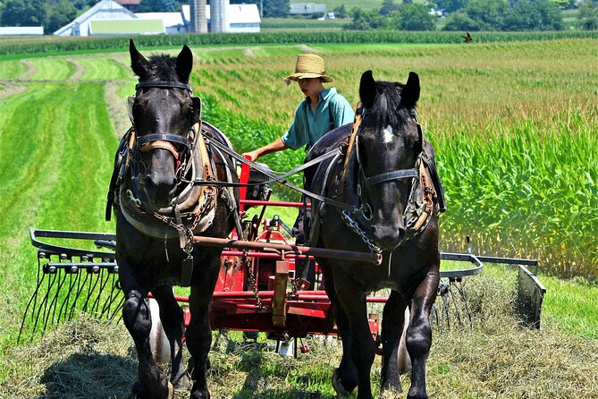 Amish Farmlands Tour - Key points at a glance