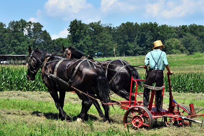 Amish Farmlands Tour - The first minutes on the road