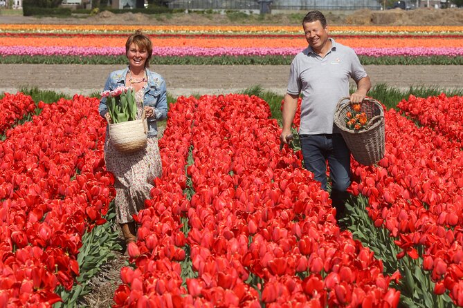 Amsterdam: Day trip to Tulip Farm, Keukenhof + Windmill Cruise - Getting to This is Holland without confusion