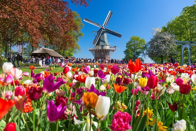 Amsterdam: Day trip to Tulip Farm, Keukenhof + Windmill Cruise - A quiet hour on the Kagerplassen
