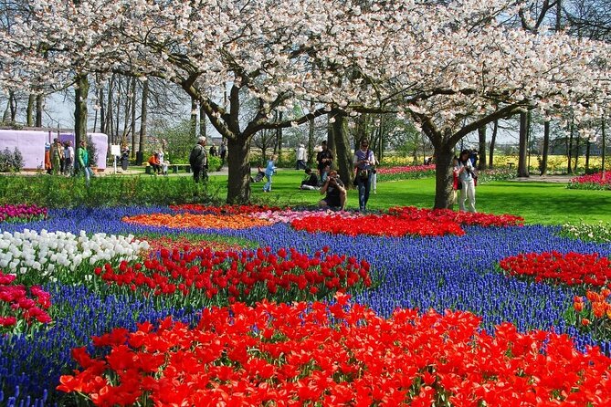 Amsterdam: Day trip to Tulip Farm, Keukenhof + Windmill Cruise - The bus ride through the bulb region