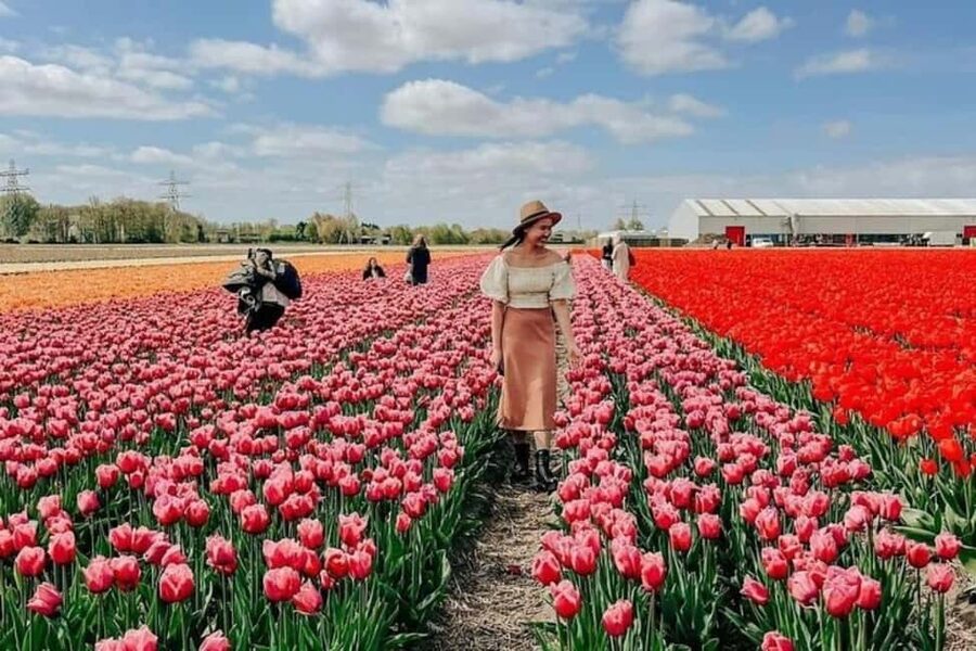 Amsterdam: Tulip Farm Visit, Keukenhof, and Windmill Cruise - A full spring day from Amsterdam
