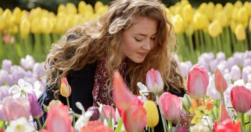 Amsterdam: Tulip Farm Visit, Keukenhof, and Windmill Cruise - The tulip farm near Voorhout