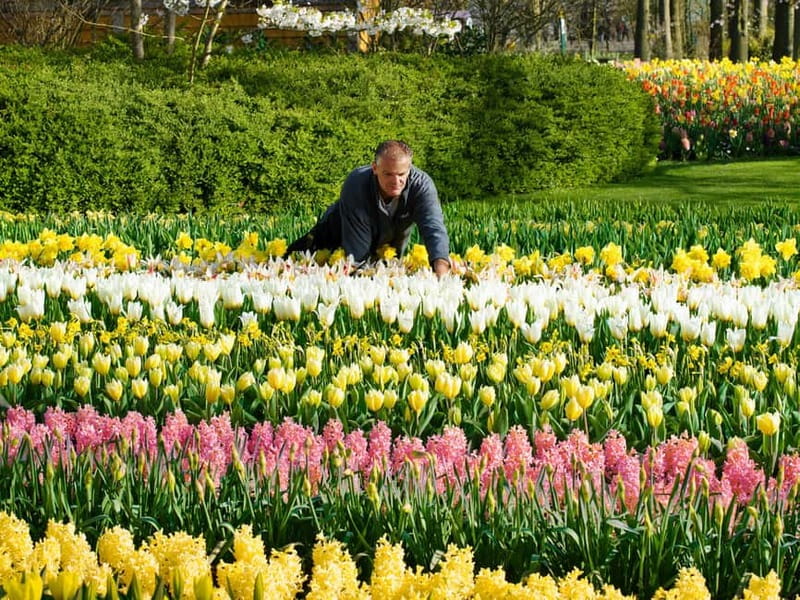 Amsterdam: Tulip Farm Visit, Keukenhof, and Windmill Cruise - Cruising the Kagerplassen windmills