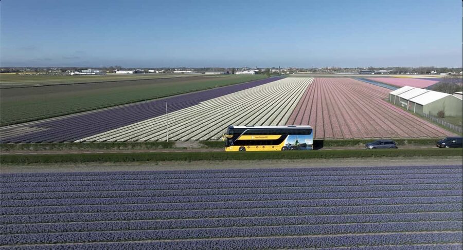 Amsterdam: Tulip Farm Visit, Keukenhof, and Windmill Cruise - Arriving at Keukenhof with four hours to explore