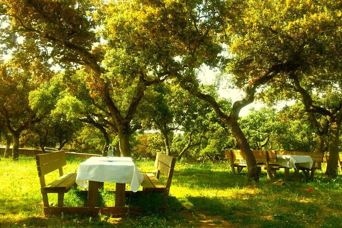 Andalucia Bull and Horse Farm and Ronda Private Tour from Malaga - A Malaga day trip with two very different stops