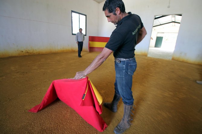 Andalucia Bull and Horse Farm and Ronda Private Tour from Malaga - Puente Nuevo and Ronda’s spectacular gorge