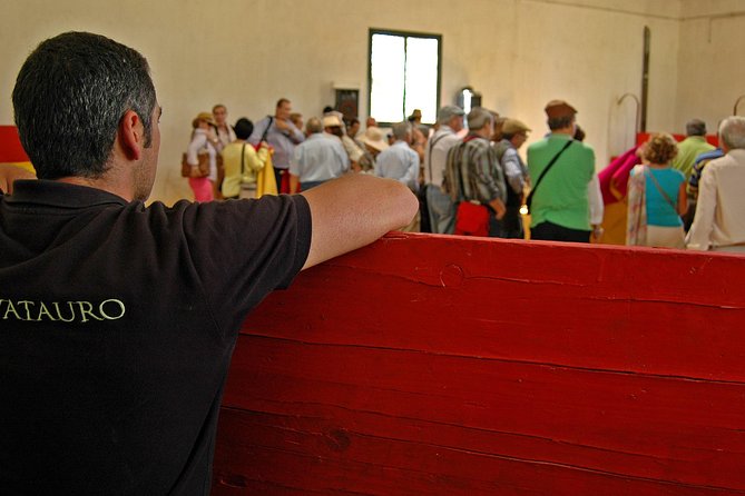 Andalucia Bull and Horse Farm and Ronda Private Tour from Malaga - Two hours with Andalucian horses and bulls