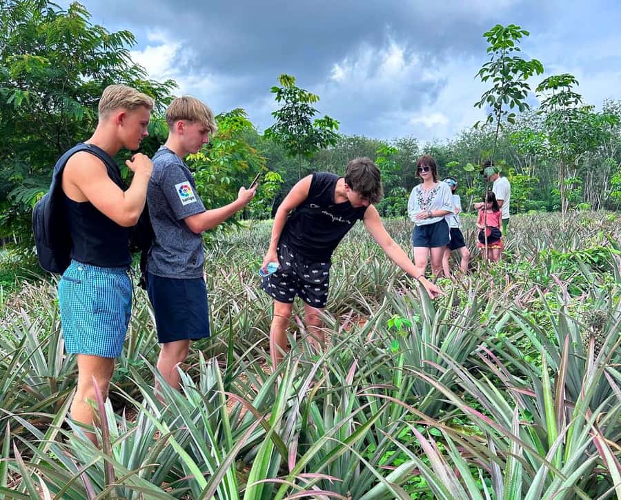 Ao Nang: Crystal Pool Kayaking, ATV, and Pineapple Farm Tour - Small details that make the day better