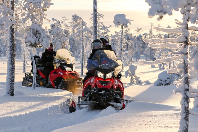 Arctic Delight - Visit to Santa's Village and snowmobiling to reindeer farm - Group size changes the experience