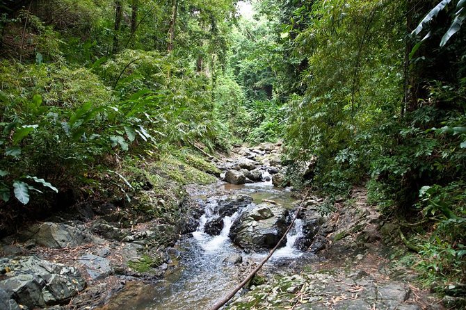 Argyle Waterfall with Adventure Farm - Walking the 20 minute trail to Argyle Waterfall