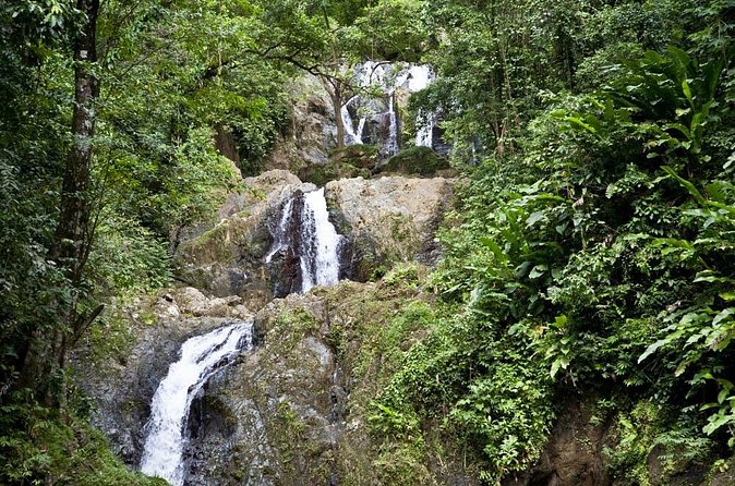 Argyle Waterfall with Adventure Farm - Swimming beneath Tobago’s highest waterfall