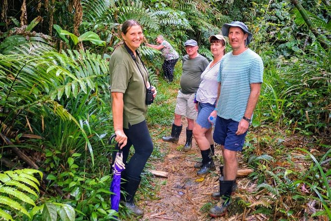Argyle Waterfall with Adventure Farm - From waterfall time to hummingbird time at Arnos Vale
