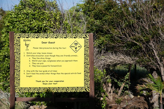 Aruba Ostrich Farm Tour with Lunch - A short tour with a clear pace