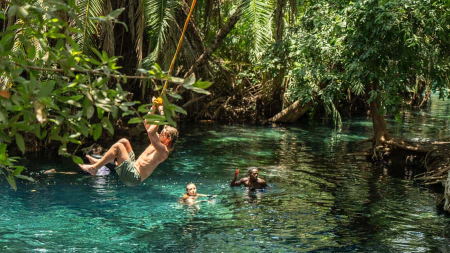 Arusha or Moshi : Hot Spring, Waterfall & Coffee Farm Tour - Key points at a glance